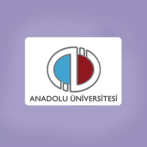 ANADOLU ÜNİVERSİTESİ KİMYASAL YÜKSEK BASINÇ SICAKLIK REAKTÖRÜ