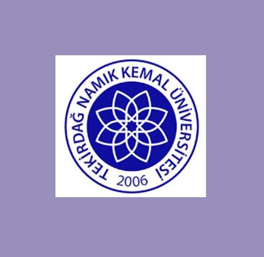 TEKİRDAĞ NAMIK KEMAL ÜNİVERSİTESİ KİMYASAL REAKTÖR